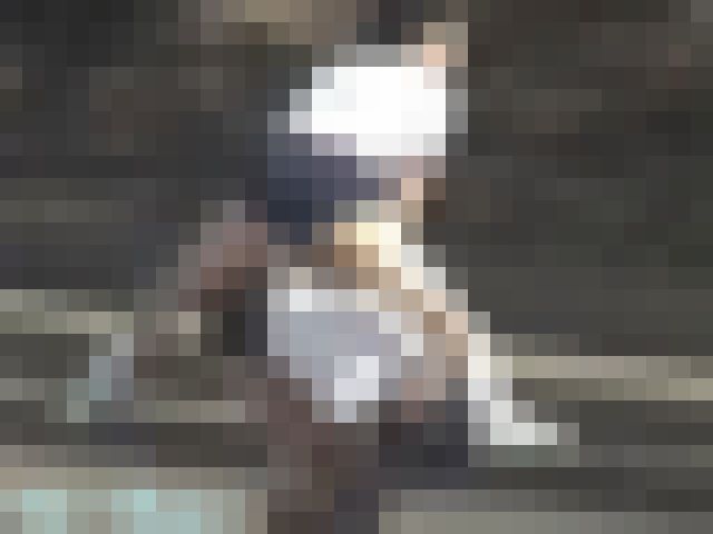 （再販）ブルマの体育BBB-07顔出し完全版　(ブルマ授業のマラソンはおっぱいも揺れる)