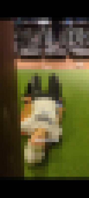 049【4K8分】レギンス好きには堪らないスレンダー眼鏡さんのストレッチ風景